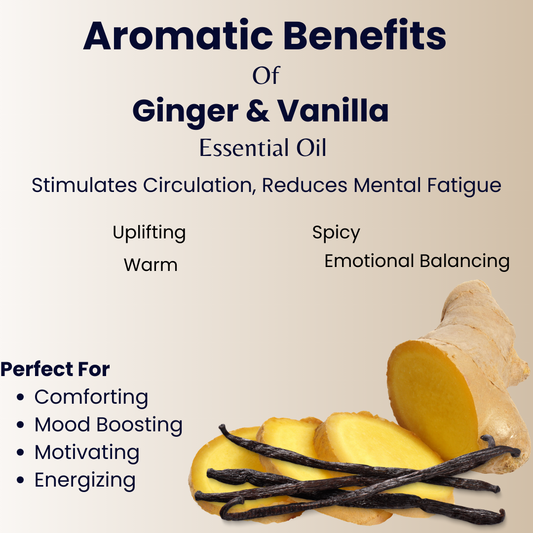 Ginger Bomb Cookie Whipped Body Butter